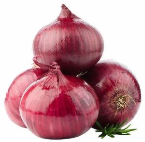 Farm Fresh Red Onion Medium, Packaging Type : Sack for Culinary