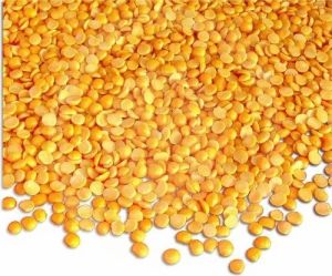 Smooth Premium Polished Toor Dal, Form : Split, Grade : Edible