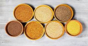 Millet Seed, Grade Standard : Food Grade for Cooking, Baking
