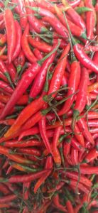 Fresh Red Chilli Varies, Taste : Spicy, Pungent