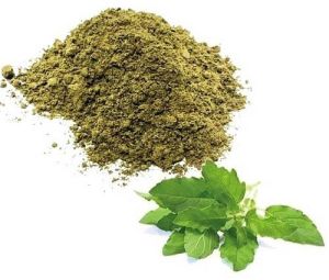 Green Dried Tulsi Leaves Powder, Packaging Type : Sealed Bag