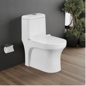 Luxury Bathroom One Piece Closet