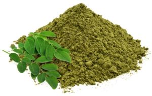 moringa powder