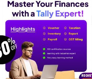 Tally Accounting Software