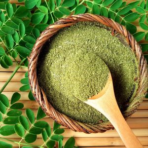 Blended Natural Moringa Powder, Color : Green