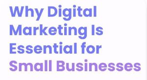 Local Marketing Services