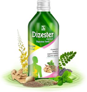 DR Willmar Schwabe India Dizester Digestive Tonic