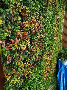 Vertical Gardens Variable Sizes Living Wall, Green Wall