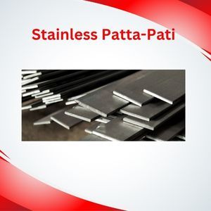 Stainless Steel Strips