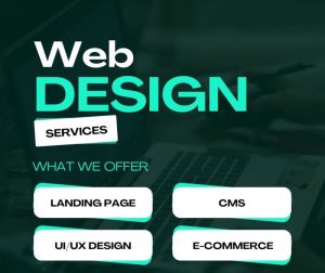Website Design and Development, Platform : Shopify