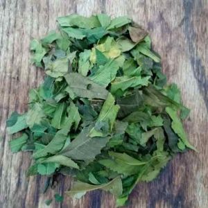 Green Organic Dried Neem Leaves for Food Medicine