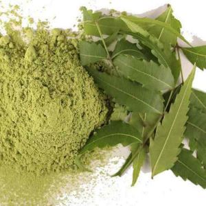 Dry Neem Leaf Powder