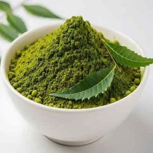 Green Organic Fresh Neem Leaf Powder, Grade Standard : Premium