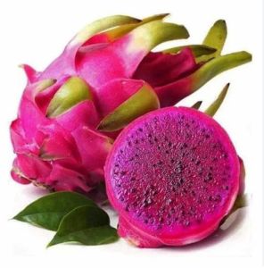 Fresh Dragon Fruit