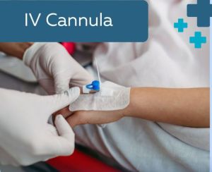 I V Cannula, Color : Transparent, Color Coded Cap
