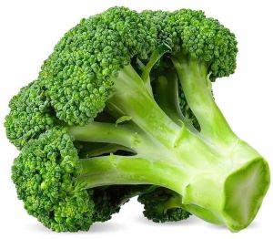 A Grade Fresh Organic Broccoli, Color : Green, Packaging Type : Bag