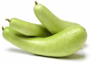 A Grade Organic Bottle Gourd