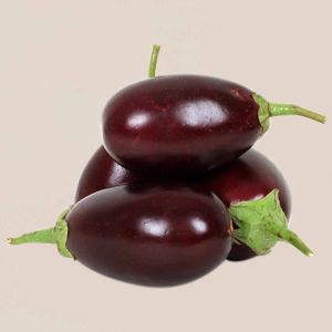 A Grade Organic Fresh Brinjal, Packaging Type : Bag for Cooking