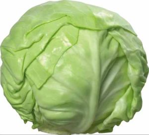 A Grade Organic Green Cabbage for Cooking, Salads, Coleslaw