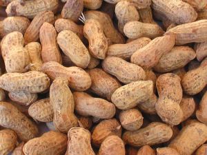 A Grade Organic Groundnut, Color : Brown, Packaging Type : Bag