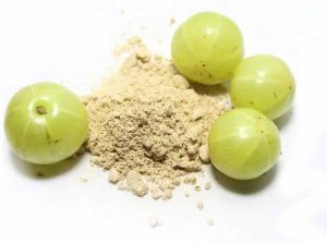 Organic Amla Powder, Color : Green for Store In Cool & Dry Place