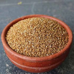 Organic Foxtail Millet