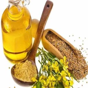 Organic Mustard Oil, Color : Yellow for Cooking