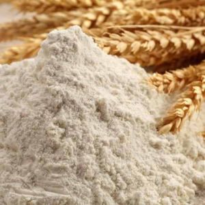 Organic Wheat Flour, Packaging Type : Bag for Baking