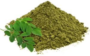 moringa powder