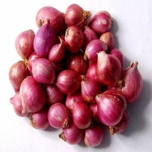 Red Fresh Small Onion, Cultivation Type : Organic for Cooking