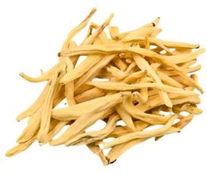 Natural Safed Musli Roots