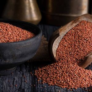 Finger Millet Ragi