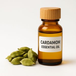 Cardamom Essential Oil