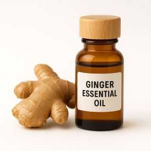 Ginger Essential Oil
