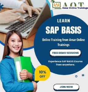 Sap Basis Online Trainings in Hyderabad