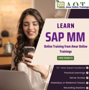 Sap Mm Online Training in Hyderabad