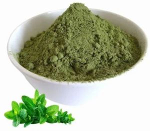 Green Dried Mint Powder, Packaging Type : Plastic Pouch
