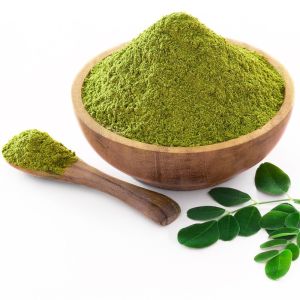 Green Dried Moringa Powder, Packaging Type : Plastic Pouch