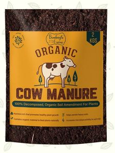 Cow Dung Manure, Color : Brown All for Religious, Hawan, Pooja