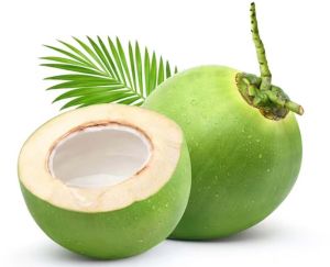 Tender Green Coconut Tender Green Coconut