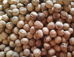 Premium Organic Kashmiri Walnut