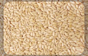 White Sesame Seeds, Packaging Type : Plastic Bag, Jars