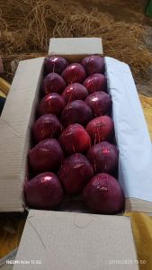 Red Apple Fruit, Packaging Size : 10kg, 15kg, 20kg