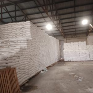 Maize Flour Maize Flour