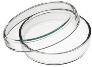Borosilicate Glass Tubing Petri Dishes, Color : Transparent