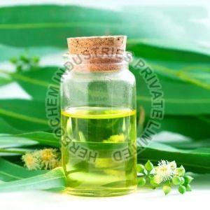 Eucalyptus Oil, Brand Name : HCI, Purity : 96.00 % Min
