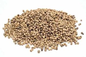 Natural A Grade Dry White Pepper Seed