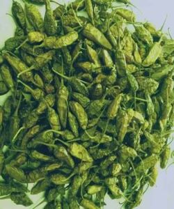 Dried Green Chilli, Packaging Type : Packet for Cooking