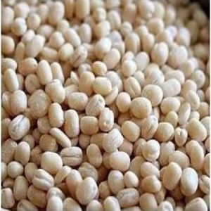 White Urad