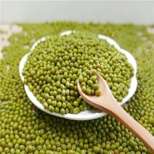 Green Moong Beans